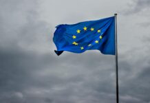 CSRD and CSDDD delayed as European Parliament backs Omnibus proposal CSRD And CSDDD Delayed