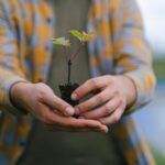 UK government launches plans to build trust in carbon offsetting strategies