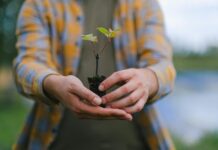 UK government launches plans to build trust in carbon offsetting strategies