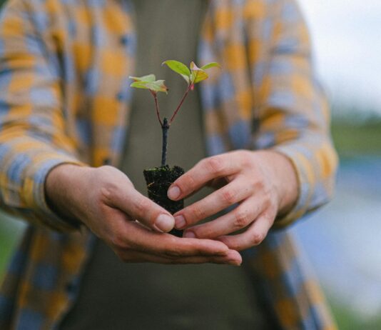 UK government launches plans to build trust in carbon offsetting strategies