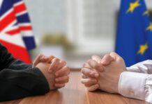 Business Insider: Corporate Sustainability Due Diligence Directive (CSDDD) Two people sitting at a table in front of a UK and EU flag
