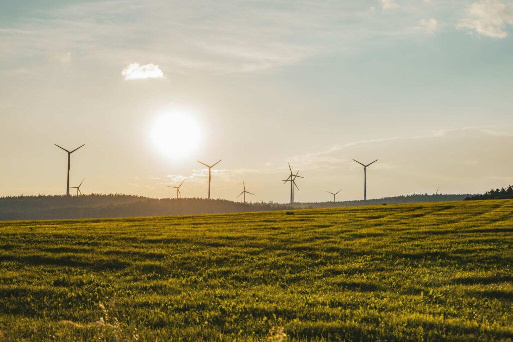 Blue sky, green grass and wind turbines
