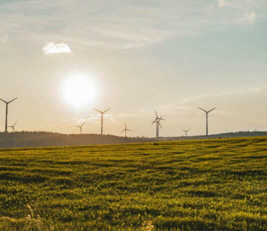 ISO and GHG Protocol announce partnership to harmonise carbon accounting standards Blue sky, green grass and wind turbines