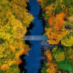 Transition Plans: Most listed companies still lack credible low-carbon strategies A bridge crossing a river that flows through an autumnal forest