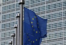 EU Omnibus vote moves to simplify sustainability reporting requirements