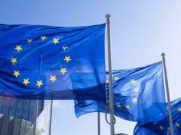 EU Parliament rejects Omnibus compromise on sustainability reporting and due diligence rules European Union flags