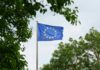 EU companies want stricter sustainability standards, survey finds EU flag surrounded by trees