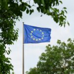 EU companies want stricter sustainability standards, survey finds EU flag surrounded by trees