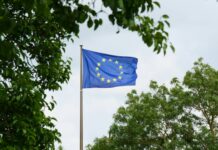 EU companies want stricter sustainability standards, survey finds EU flag surrounded by trees
