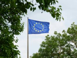 EU companies want stricter sustainability standards, survey finds EU flag surrounded by trees
