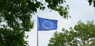 EU companies want stricter sustainability standards, survey finds EU flag surrounded by trees