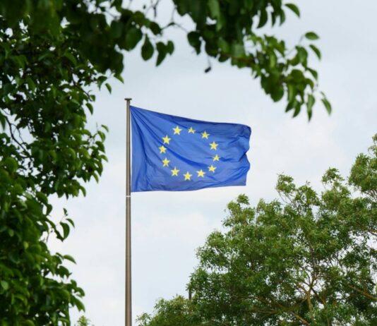 EU companies want stricter sustainability standards, survey finds EU flag surrounded by trees