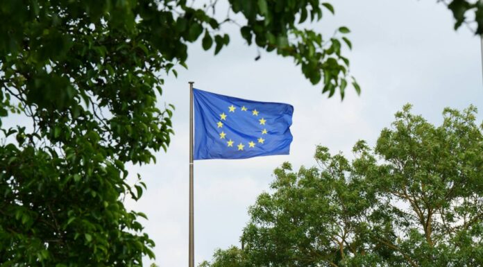 EU companies want stricter sustainability standards, survey finds EU flag surrounded by trees