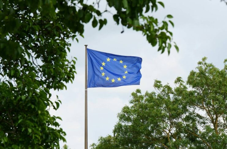 EU companies want stricter sustainability standards, survey finds EU flag surrounded by trees