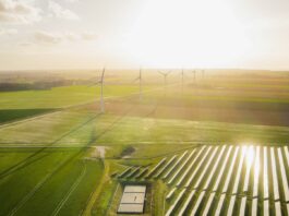 COP 30: your 5-minute guide What Is COP 30?