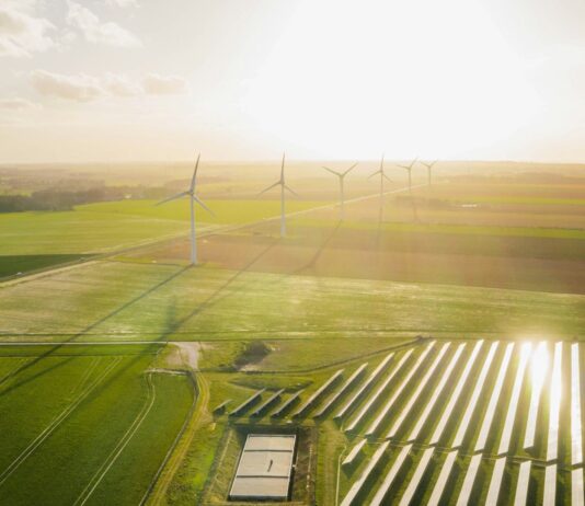 COP 30: your 5-minute guide What Is COP 30?