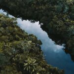 COP30 | What Three Decades Of COP Means For Business COP30