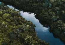 COP30: What three decades of COP means for business