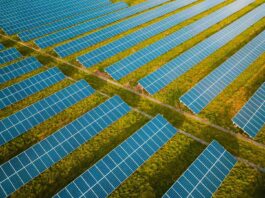 Net Zero Census: Large businesses keep climate focus, but SMEs face mounting challenges