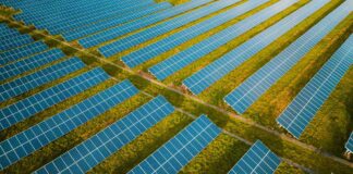 Net Zero Census: Large businesses keep climate focus, but SMEs face mounting challenges