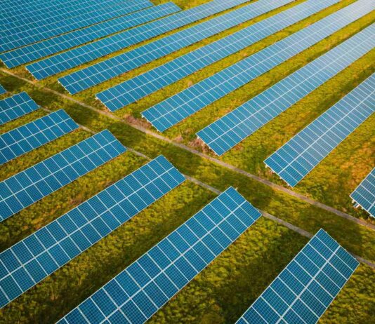 Net Zero Census: Large businesses keep climate focus, but SMEs face mounting challenges