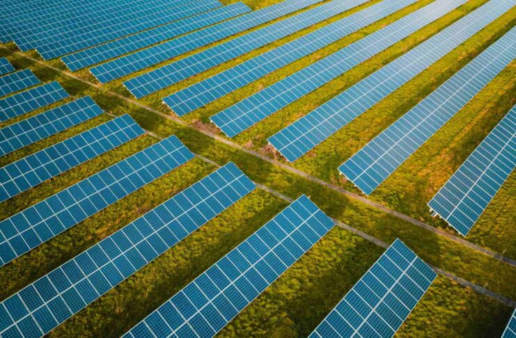 Net Zero Census: Large businesses keep climate focus, but SMEs face mounting challenges Net Zero Census