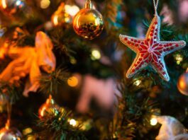 Business tips for a greener festive season