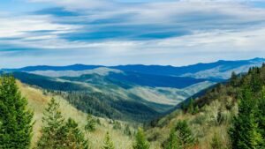 Demand For Quality Environmental Reporting Data