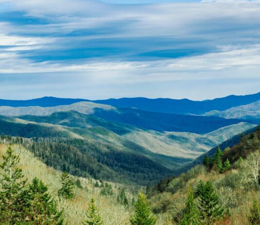 Demand for high-quality environmental reporting data surges, CDP’s 2025 report finds Demand For Quality Environmental Reporting Data