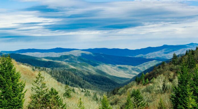 Demand for high-quality environmental reporting data surges, CDP’s 2025 report finds Demand For Quality Environmental Reporting Data