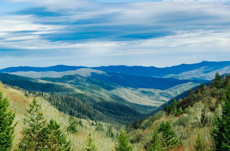 Demand for high-quality environmental reporting data surges, CDP’s 2025 report finds Demand For Quality Environmental Reporting Data