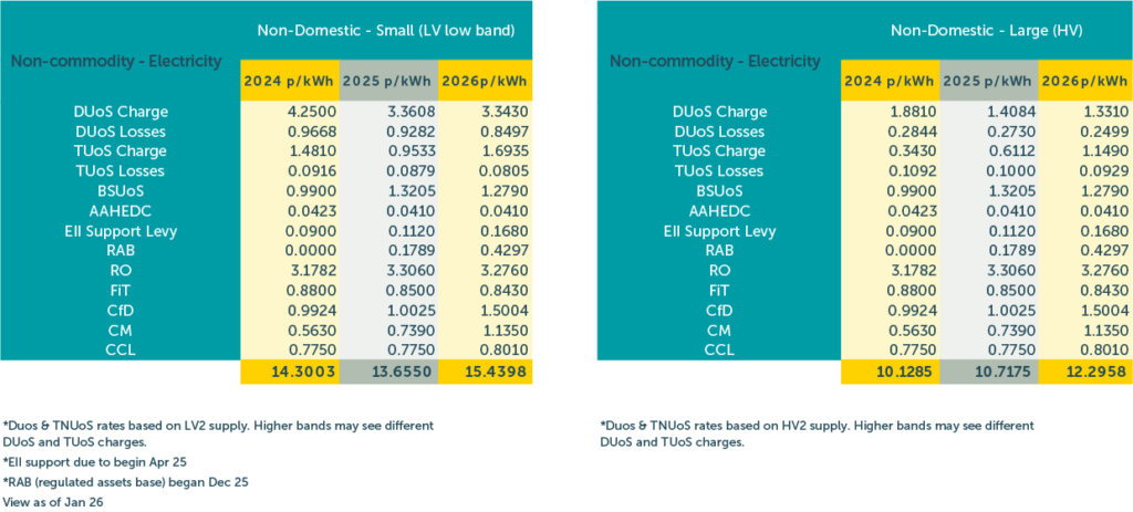 This table shows non-commodity prices for electricity in 2024, 2025 and 2026, showing fluctuations across all the charges