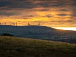 Net zero by 2050 could cost less than a single fossil fuel price shock, CCC finds Net Zero Costs Less Than Single Fossil Fuel Price Shock.