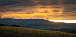 Net zero by 2050 could cost less than a single fossil fuel price shock, CCC finds Net Zero Costs Less Than Single Fossil Fuel Price Shock.