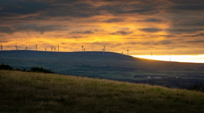 Net zero by 2050 could cost less than a single fossil fuel price shock, CCC finds Net Zero Costs Less Than Single Fossil Fuel Price Shock.