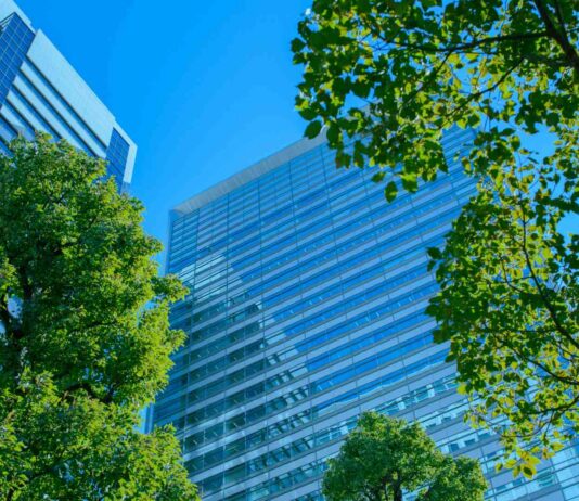 UK Net Zero Carbon Buildings Standard launches to define credible net zero claims UK Net Zero Carbon Buildings Standard Launches.