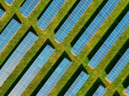 ESOS Phase 4: what to do now ESOS Phase 4.