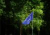 EU launches consultation on revised Sustainability Reporting Standards under CSRD overhaul