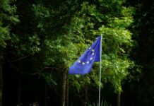 EU launches consultation on revised Sustainability Reporting Standards under CSRD overhaul