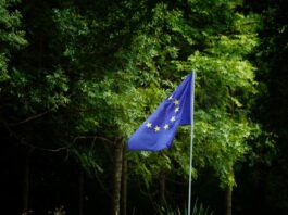 EU launches consultation on revised Sustainability Reporting Standards under CSRD overhaul Revised ESRS.