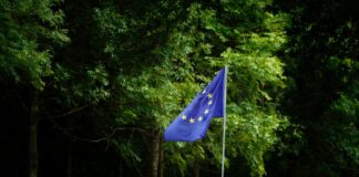 EU launches consultation on revised Sustainability Reporting Standards under CSRD overhaul