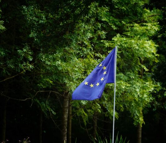 EU launches consultation on revised Sustainability Reporting Standards under CSRD overhaul Revised ESRS.