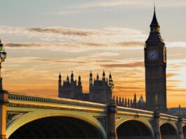 What does the latest CCC report mean for business? CCC Report Explained.