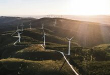 Achieving SBTi approval: Join Sustainable Energy First’s climate resilience webinar