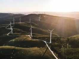 Achieving SBTi approval: Join Sustainable Energy First’s climate resilience webinar