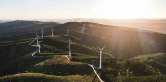 Achieving SBTi approval: Join Sustainable Energy First’s climate resilience webinar