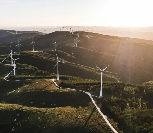 Achieving SBTi approval: Join Sustainable Energy First’s climate resilience webinar
