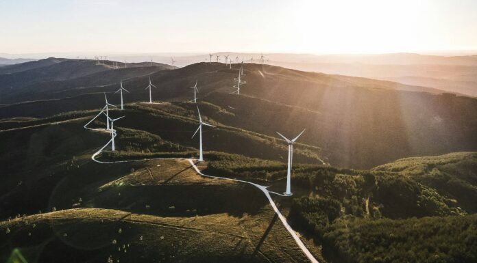 Achieving SBTi approval: Join Sustainable Energy First’s climate resilience webinar