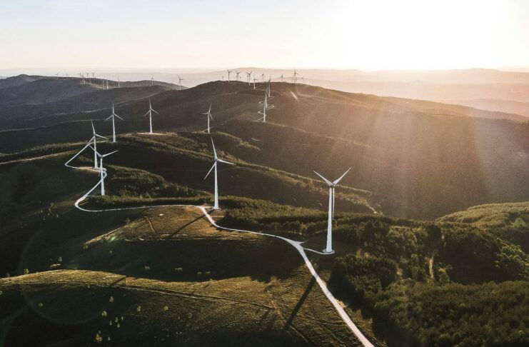Achieving SBTi approval: Join Sustainable Energy First’s climate resilience webinar