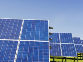 UK renewable energy reached a record high: DUKES energy report 2025